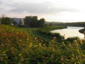 Naturlandschaft in der Nähe des Hotels