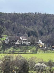 una casa su una collina con un campo verde di Casa Conte a Tubinga