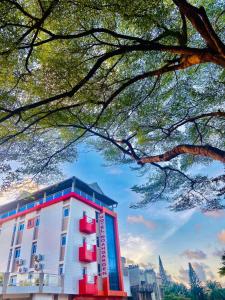 a building with red and blue windows next to a tree at HÔTEL NOAHGARDEN 2 in Cotonou