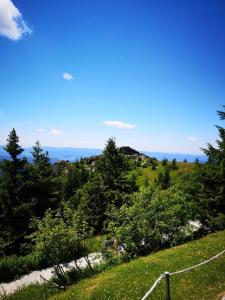Une colline herbeuse avec une clôture au sommet dans l'établissement Idyllisch gelegene Ferienwohnung Xaver im Herzen des bayerischen Waldes, à Zachenberg