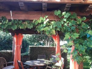 uma pérgola de madeira com uma mesa e um monte de uvas em Casa Rural Mariluz em Santillana del Mar