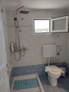 a bathroom with a toilet and a shower at Sofia sea view apartment in Faros