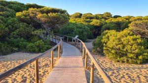 a wooden bridge over a sandy beach with trees at Apartment Isla Canela Luxury in Huelva