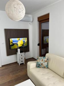 a living room with a couch and a tv at Monako Luxury Apartment in Vrnjačka Banja