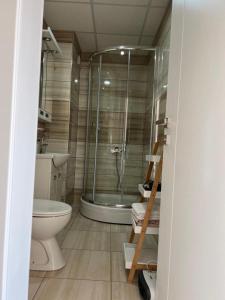 a bathroom with a glass shower and a toilet at Monako Luxury Apartment in Vrnjačka Banja
