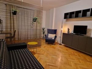 TV a/nebo společenská místnost v ubytování Pelclova Apartment