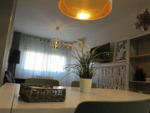 a dining room table with a plant and a light fixture at Tudela balcón de Bardenas in Tudela