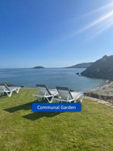 two white chairs sitting on the grass near the water at Ocean View Apartments in Looe