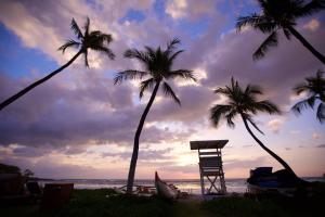 two palm trees and a chair on the beach at Mauna Kea Beach Hotel, Autograph Collection in Hapuna Beach