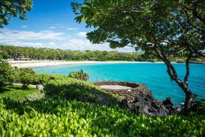 ハプナビーチにあるマウナ ケア ビーチ ホテル オートグラフ コレクションの木と海の景色を望む