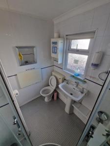 a small bathroom with a toilet and a sink at 60 upperlakeside glan gwna in Caernarfon