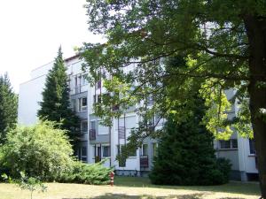 a white building with trees in front of it at Forest 57 in Sopron