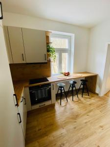 Köök või kööginurk majutusasutuses Apartment Traumblick Berggipfel