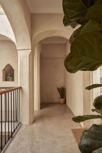a hallway of a house with a plant at Casa Uva - Boutique Guest House in Vejer de la Frontera