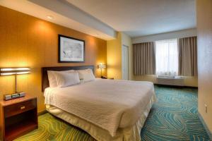a hotel room with a large bed and a window at SpringHill Suites by Marriott - Tampa Brandon in Tampa
