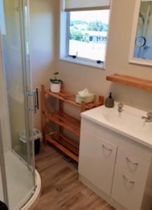 een badkamer met een douche, een wastafel en een spiegel bij Cozy Cottage in Whitianga