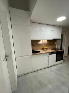 Kuchyň nebo kuchyňský kout v ubytování Apartment Olyntha