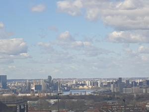 a view of a city with buildings in the distance at Modern One Bed Apartment Greenwich in London