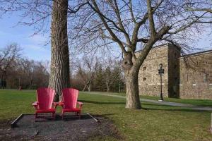 dos sillas rosas sentadas junto a dos árboles en Simplement l’Harmonie à Chambly, en Chambly