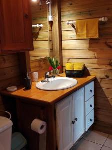 a bathroom with a sink and a wooden wall at Le Tri Haut de Bellevue - Bungalow Héliconia in Pointe-Noire