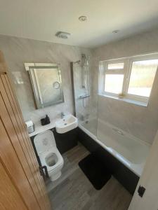 a bathroom with a toilet and a sink and a shower at DaisyChain Getaways at Chaney Rd in Wivenhoe