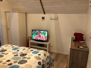 sypialnia z łóżkiem i telewizorem z płaskim ekranem w obiekcie La Culla del Conte w mieście Bucchianico
