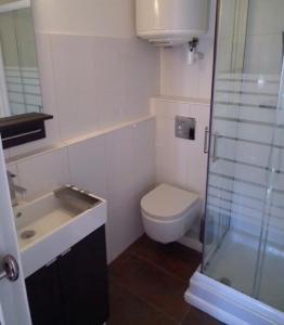 un bagno con wc, lavandino e doccia di Coeur Vieil Antibes Plages à Pied a Antibes Altre 6 foto