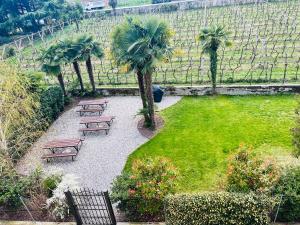 A garden outside Albola Suite Holiday Apartments