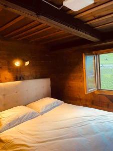 a bedroom with a white bed with a window at Magnifique Mazot Dans Les Vignes in Martigny-Combe