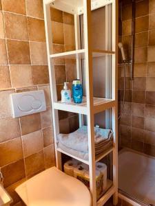 a bathroom with a toilet and a shower at Alpine Bliss - Cozy Chalet with Panoramic Views in Martigny-Combe
