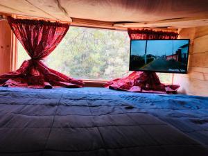 1 dormitorio con 1 cama, TV y ventana en Casa del árbol en Acaxochitlán