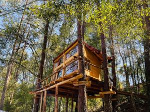 una casa en el árbol en medio del bosque en Casa del árbol en Acaxochitlán