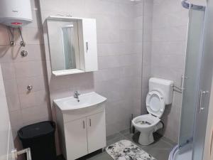 a bathroom with a toilet and a sink and a mirror at Apartman Nomino in Zvornik +8 photos
