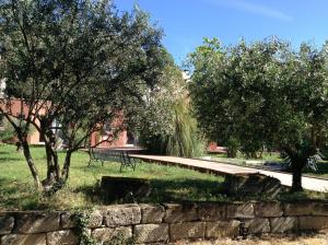 加拉尔盖莱蒙蒂厄树上套房住宿加早餐旅馆的一个带长凳、树木和石墙的公园