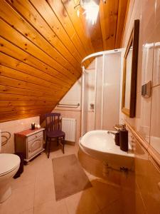 アウグストゥフにあるSiedlisko Zatokaのバスルーム(洗面台、トイレ、シンク付)