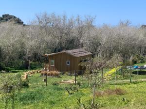 a small shed in the middle of a field at cabaña CasaOtto in Los Caños de Meca
