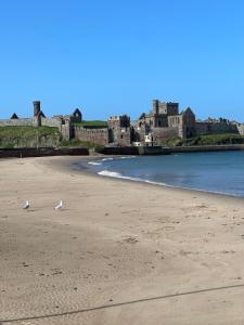 two birds standing on a beach with a castle in the background at Hollie's Beach House in Peel