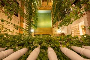 Zahrada ubytování Leones de Alba Hotel Boutique