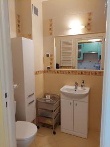 a bathroom with a sink and a toilet and a mirror at Studio Krynica in Krynica Morska