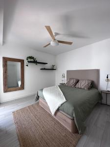 a bedroom with a bed with a ceiling fan and a mirror at Casa Nordeste con piscina Casilla de Costa in La Oliva
