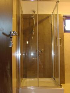 una doccia con porta in vetro in bagno di Apartments by the sea Kaprije - 20012 a Kaprije (Caprie)