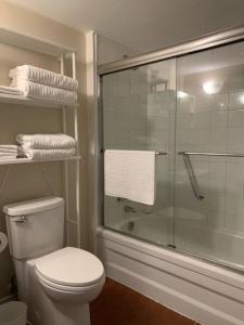 a bathroom with a toilet and a shower with towels at Downtown one bedroom/Historic Bauer Terrace in Halifax