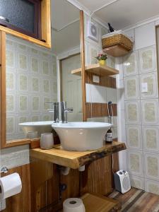 een badkamer met een wastafel en een spiegel bij Apartamento Coyhaique in Coihaique