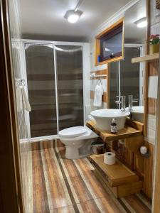 een badkamer met een toilet en een wastafel bij Apartamento Coyhaique in Coihaique