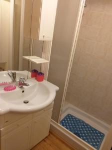 a bathroom with a sink and a shower at Casa Mimosa 1 in Gressan