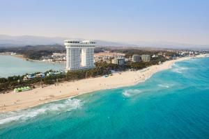 uma vista aérea de uma praia com um hotel em Skybay Hotel Gyeongpo em Gangneung