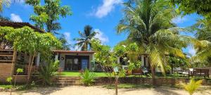 伊卡萊的住宿－Villa Pitaya，前面有棕榈树的房子