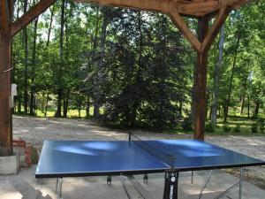 una mesa de ping pong azul en un pabellón con árboles en Gîte Souvigny-de-Touraine, 3 pièces, 6 personnes - FR-1-381-457, en Souvigny-de-Touraine