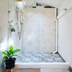 a bathroom with a shower with a potted plant at Solene Home Patong in Patong Beach