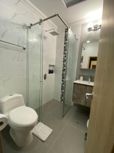 ボゴタにあるCal Bed & Breakfastのバスルーム(トイレ、ガラス張りのシャワー付)